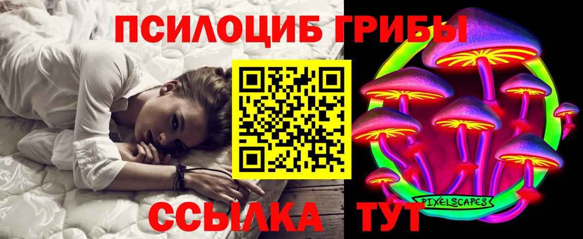Кашира  Галлюциногенные грибы Cubensis  Вход с VPN 